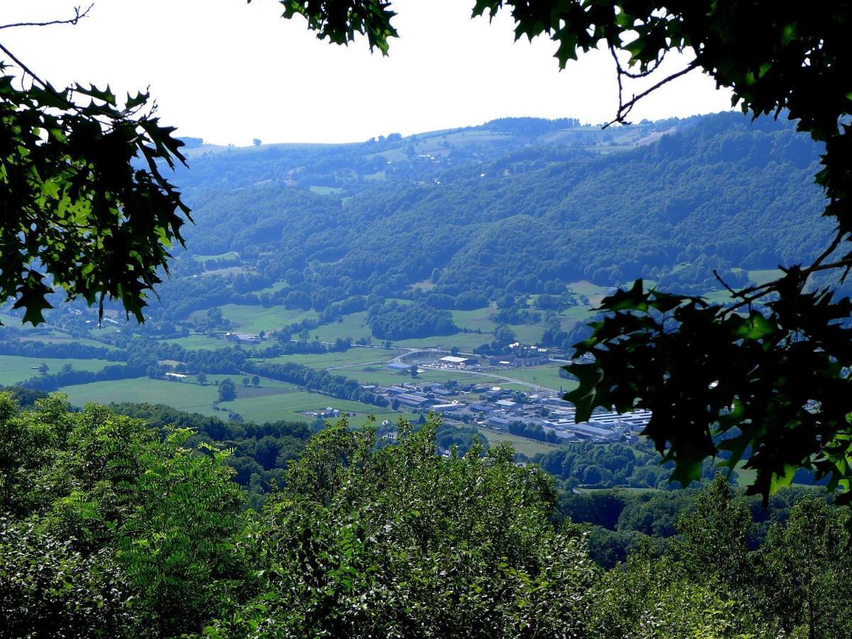 Hostellerie Saint Clement Vic-sur-Cère 외부 사진